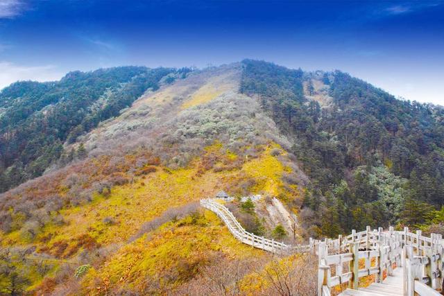 「秋游西岭雪山」西岭雪山2日团建，释放压力，尽享自然之美！流程图片