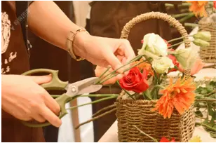 「宠爱女神节」手工DIY活动推荐相册图片