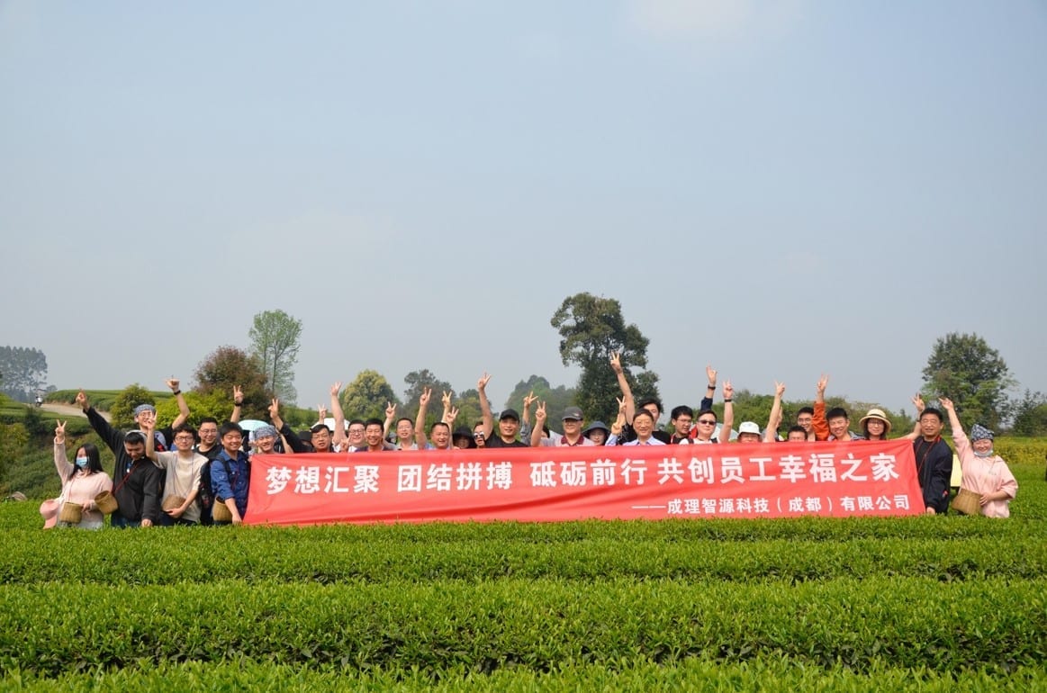 「微风拂动 春临茶园」春季踏青采茶团建活动流程图片