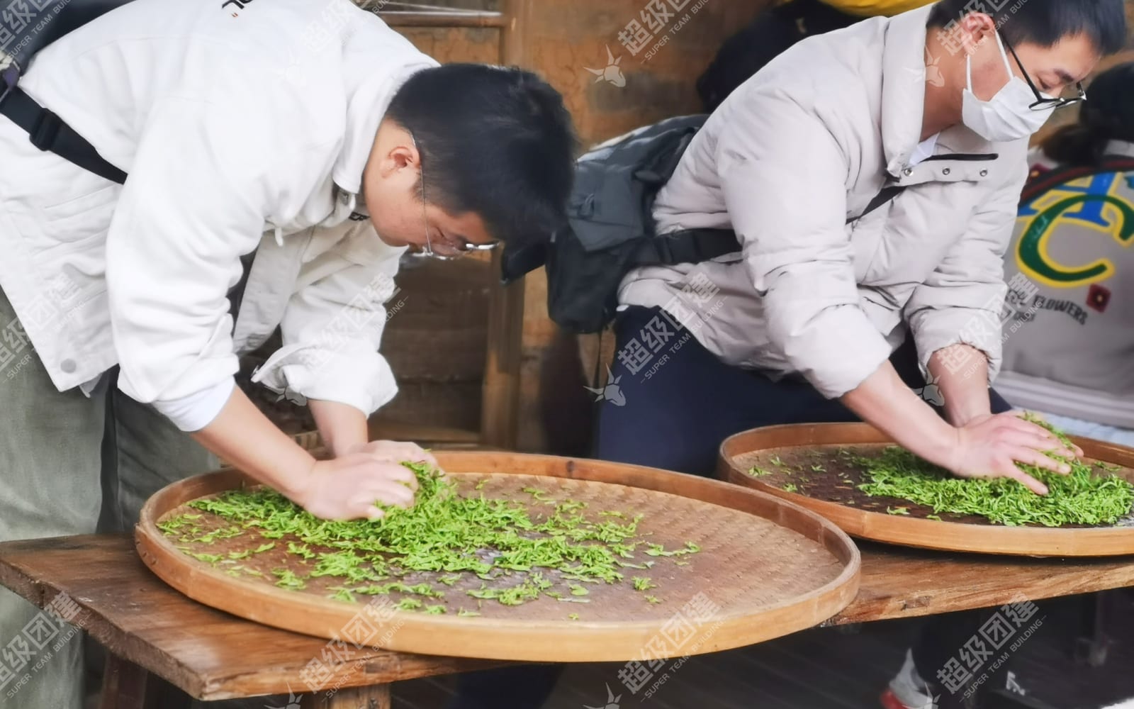 「微风拂动 春临茶园」春季踏青采茶团建活动流程图片