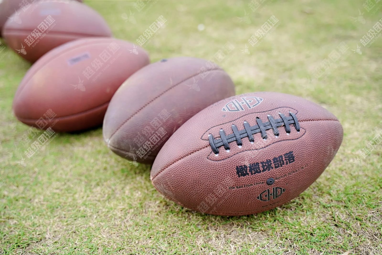 「热血集结 以旗为盟」半日腰旗橄榄球团建活动相册图片