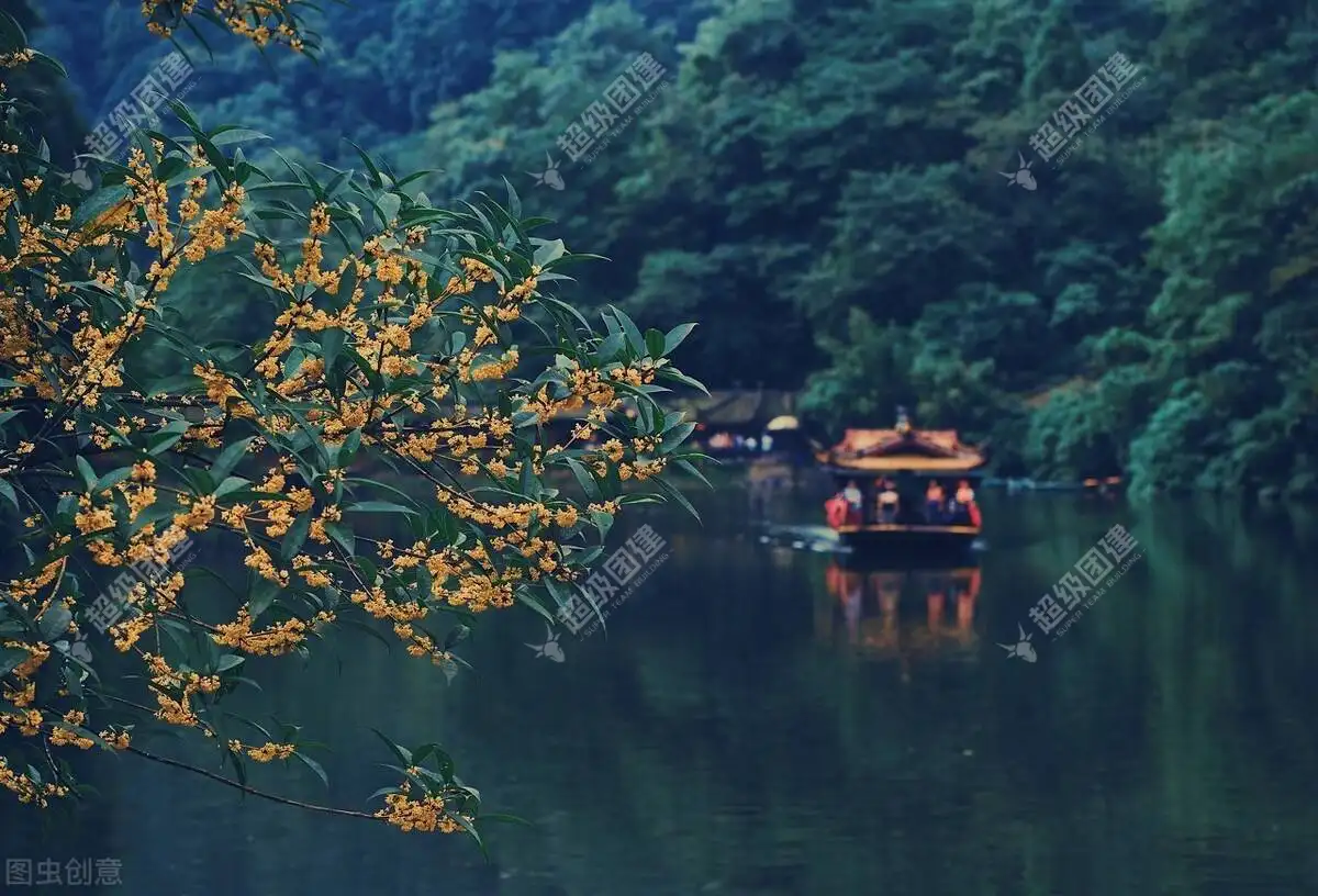 「吸氧秘境+漫道青城」问道青城山2日团建活动相册图片