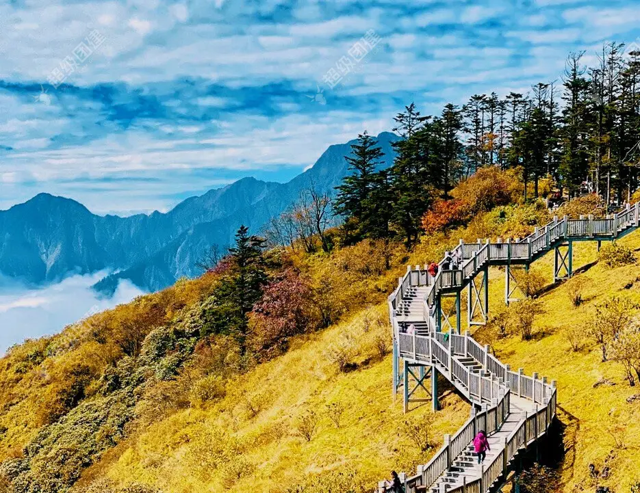 「秋游西岭雪山」西岭雪山2日团建,释放压力,尽享自然之美!