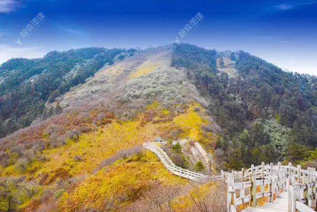 「秋游西岭雪山」西岭雪山2日团建，释放压力，尽享自然之美！相册图片