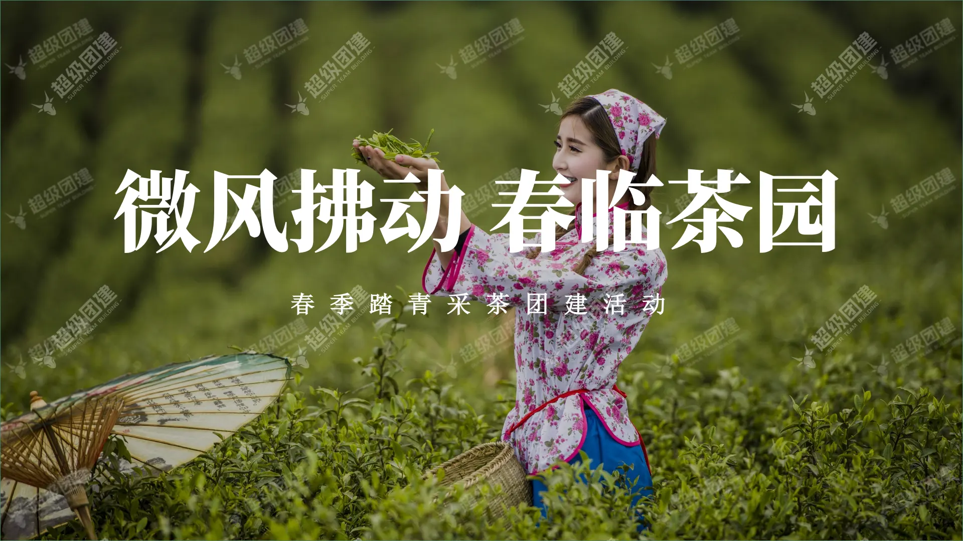 「微风拂动 春临茶园」春季踏青采茶团建活动