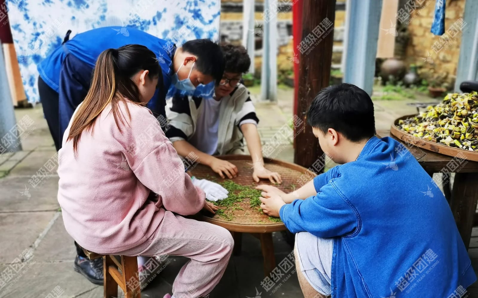 「春茶亦盎然&middot;扎染共芳华」春季采茶扎染活动相册图片